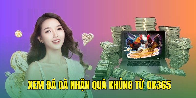 Xem đá gà nhận quà khủng cùng OK365