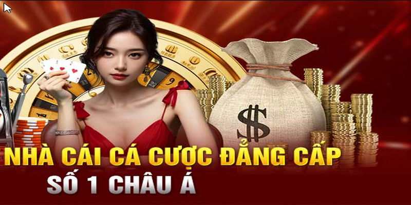 Cách thức liên hệ đa dạng & phong phú